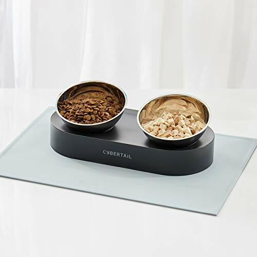 Elevated Dog Cat Stainless Steel Bowls 15° Tilted Raised Pet Feeding Bowls - Picture 2 of 9