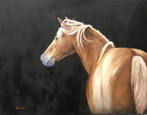 Nicolae Original Horse Art Oil Painting Palomino Black Stretched Canvas Ebay