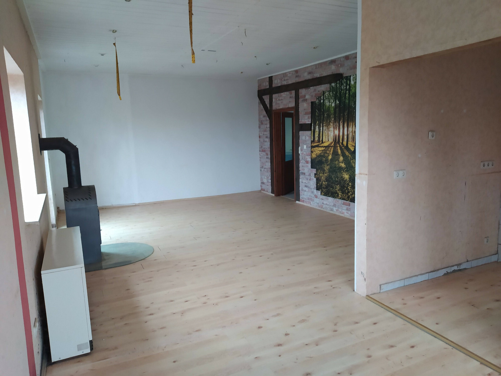 Bild 9 von 12