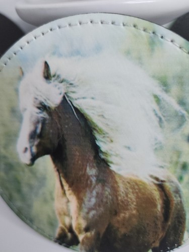 Pferd Wohndeko Untersetzer Kunstleder Designs schöne Pferde 4er Set - Bild 12 von 23