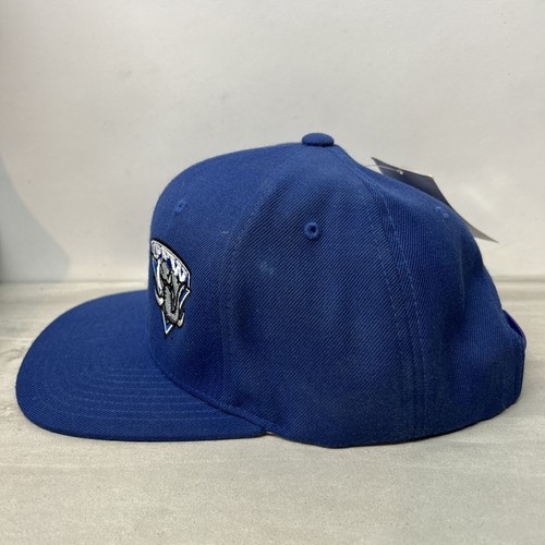 PURDUE UNIVERSITY FORT WAYNE IPFW Mastodon blue adjustable hat cap Snapback - Picture 7 of 12