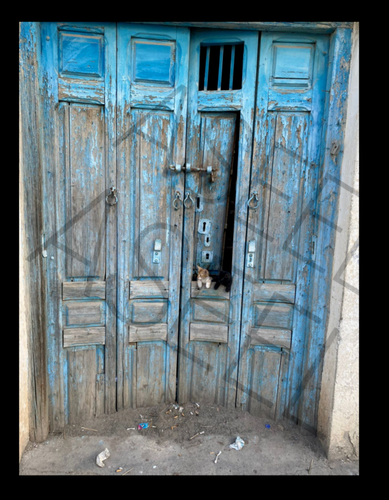 AI Kunst Muster Hintergrund Hintergrund Desktop Digital Bild Bild Foto Katze -4 - Bild 1 von 2