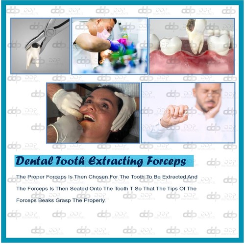 3 fórceps de extracción # MD3 instrumentos dentales quirúrgicos - Imagen 6 de 7