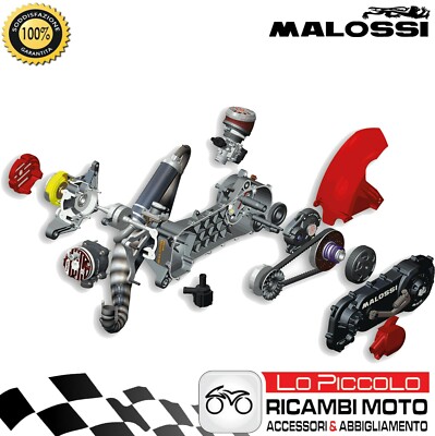 MOTORE COMPLETO MALOSSI RC-ONE 94CC NON ASSEMBLATO GILERA RUNNER