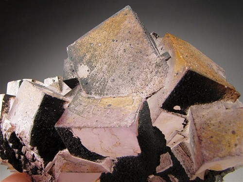 Fluorit Kristalle, El Hammam Mine, Marokko - Bild 1 von 7