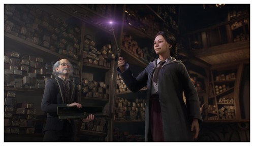 Warner Interactive Hogwarts Legacy (PlayStation 5) - Bild 4 von 12