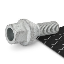 RIDEX Radschraube 22mm SW17 für RENAULT Clio III Schrägheck (BR0/1, CR0/1)