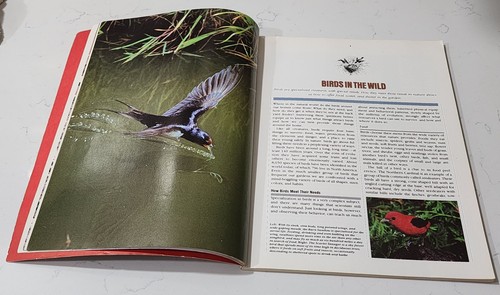 HOW TO ATTRACT BIRDS -1983 Ortho Books - Sunset Attracting Birds Guide & Feeders - Picture 4 of 14