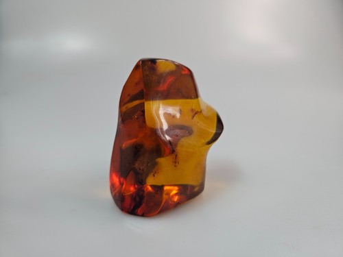 Amber insect. Natural Amber stone.  Fossil Inclusions Genuine Entomology - Picture 4 of 9