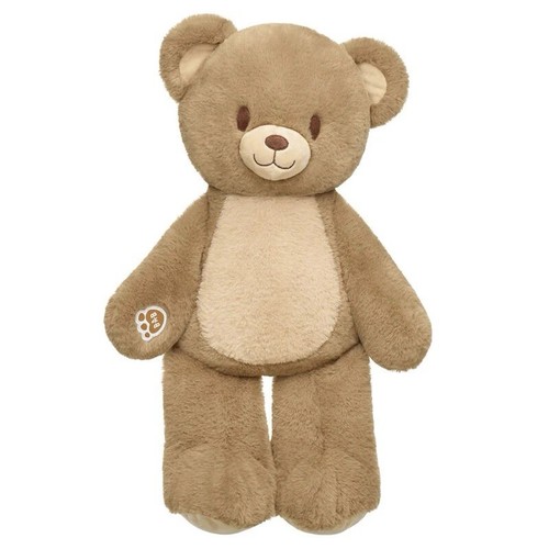 Build-A-Bear Heartwarming Hugs Teddy