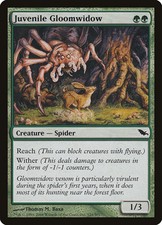 Juvenile Gloomwidow [Shadowmoor] Lightly Played