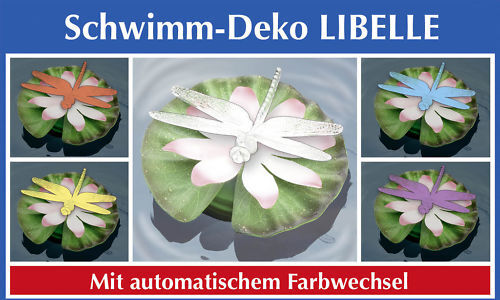 Bild 1 von 6