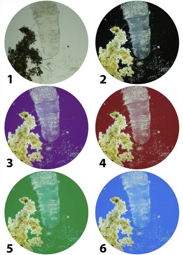 Adjustable color & darkfield filters set kit for Motic condenser microscopes - Imagen 4 de 4