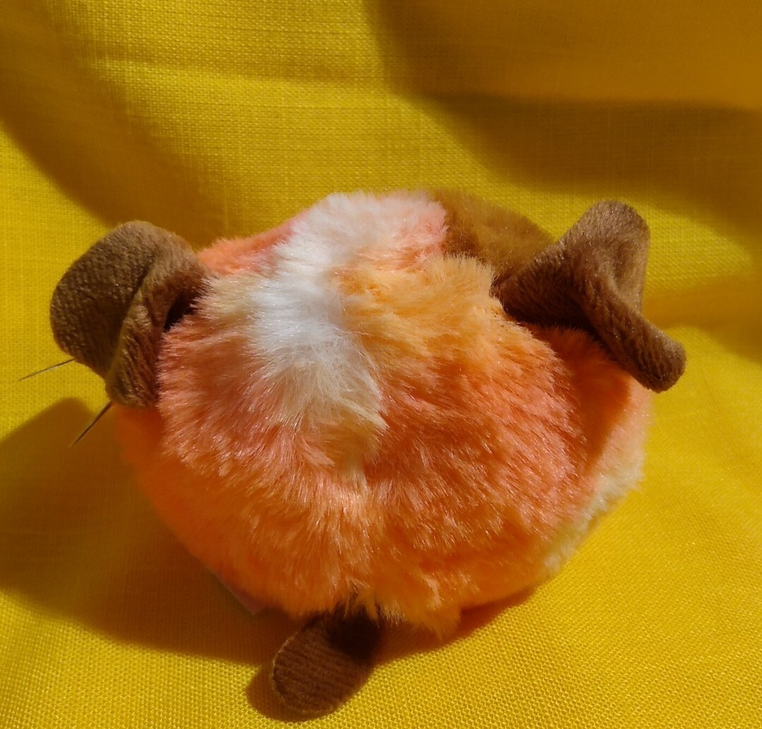 Bild 4 von 6