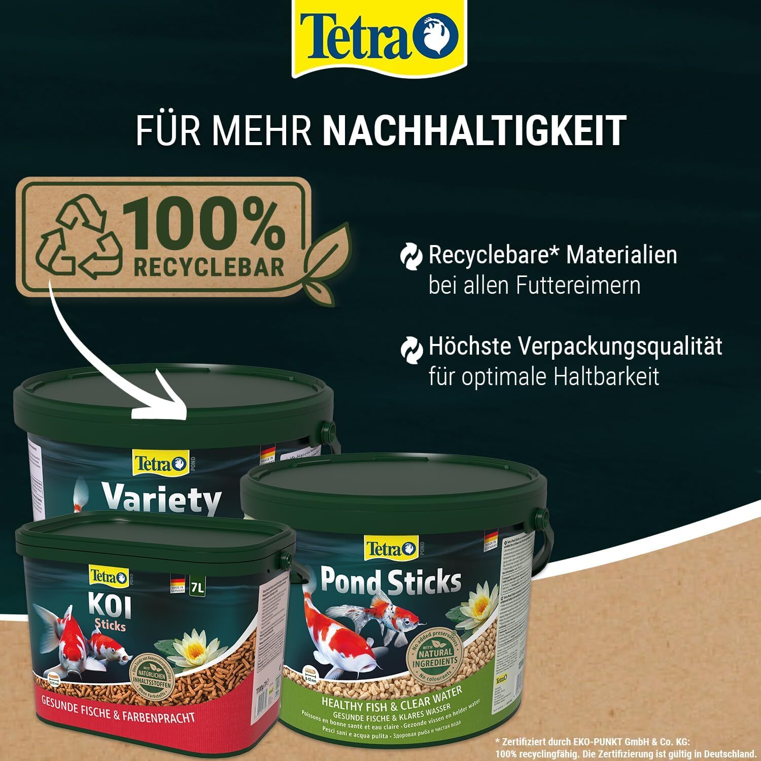 Bild 7 von 12