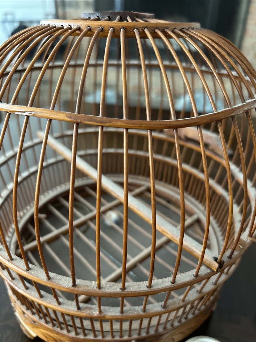 ログコレクション　birdcage Amazon.co.jp: ONE PIECE Log Collection “BIRDCAGE