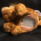 Picture 4 of 10