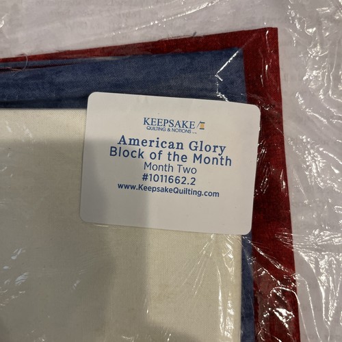 American Glory Block of Month 1-7 Quilt Kits 2020 Wilmington Prints twin size - Picture 14 of 15