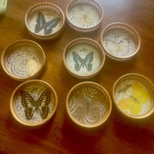 Vintage Bamboo Pressed Butterfly Coaster Set Of 8 1970’s Retro 