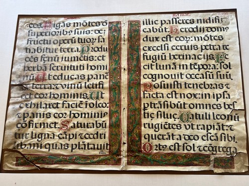 Rare Museum Large 15th century Illuminated Manuscript Leaf on Parchment - Picture 11 of 14