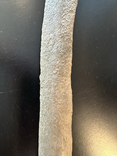 Wollmammut Rippe Eiszeit schöner fossiler Knochen Fairbanks Alaska W. Pinch Sammlung - Bild 7 von 11