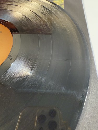 JANICE: janice FANTASY LP vinyl 1975 US ( VG+/VG) - Foto 10 di 12