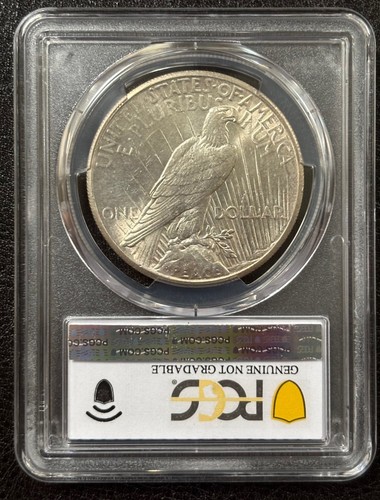 1927 Peace Silver Dollar PCGS UNC dettaglio pulito - grande appello visivo (#718) - Foto 3 di 7