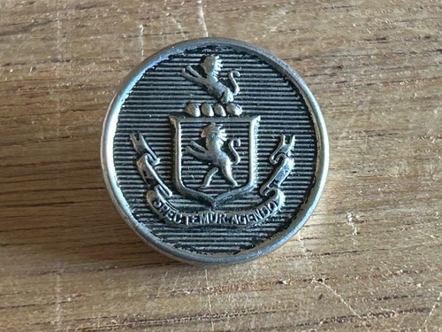 Crest Coat Of Arms Uniform Button Spectemur Agendo Lions 3/4" Silver Tone Vtg - Picture 12 of 24