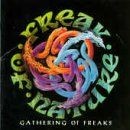 Gathering of Freaks von Freak of Nature | CD | Zustand gut