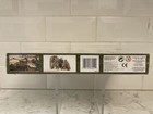 Picture 4 of 6