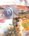 Bild 9 von 9