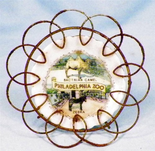 Philadelphia Zoo Souvenir Plate in Wire Frame Small Bactrian Camel Zebra Vintage - Picture 1 of 4