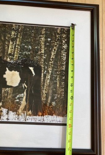 Jerry Wetteland firmata, fotografia originale di cavallo pinto tra le betulle - Foto 8 di 12