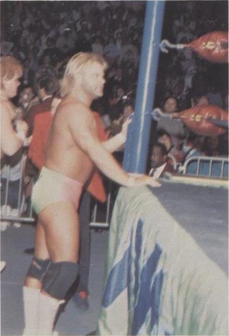 1988 Wonderama NWA - Stan Lane #27 - 1 of 1