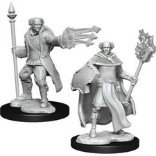 D&D Nolzur's Marvelous Unpainted Minis: W13 Male Multiclass Cleric + Wizard
