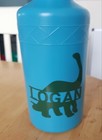Dinosaur Water bottle name stickers