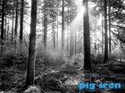 Bild 6 von 14