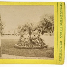 Gothenburg Tradgardsforeningen Garden Stereoview c1870 Webster Albee Card H1493