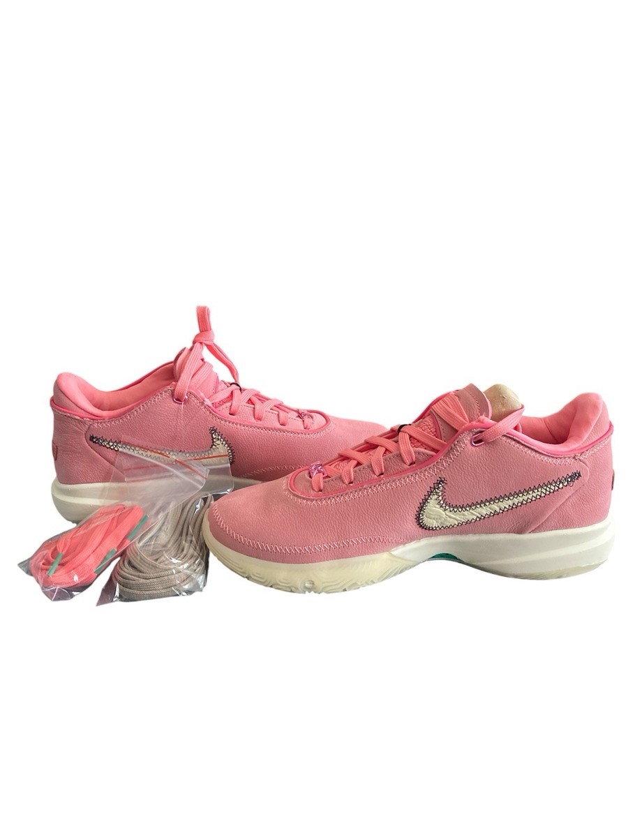 シューズ(男性用) NIKE LEBRON 20 South beast 27cm us9 Nike Lebron 20 (XX) 'South Beast' - Size 10.5 (DQ3828-900