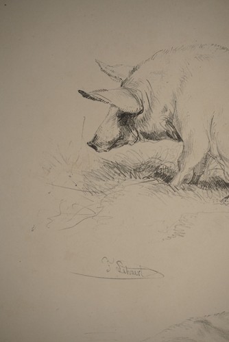 BELLE LITHO XIX° ETUDE  VACHE COCHON ANIMAUX CAMPAGNE Frédéric LEHNERT - Foto 7 di 9