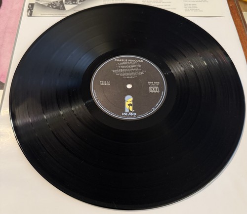 33 LP Vinyl Record, Charlie Peacock, Self Titled, Gold Label Promo, 1986 Exit,VG - Imagen 7 de 9