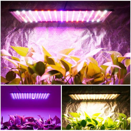 50W Vollspektrum LED Pflanzenlampe Gewächshaus Lampe Wachstumslicht Grow Light - Bild 3 von 14