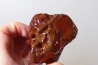 Carnelian Agate 1 lb 7 oz lapidary rough lot #4x — photo 7