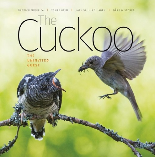 Karl Schulze-Hagen Bard G. Stokke Tomas Grim Oldri The Cuckoo (Copertina rigida)