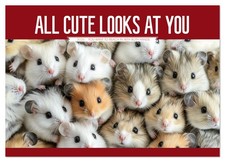 All Cute Looks at You (Monthly Wall Calendar 2026 11.7 x 16.5 (open)), CALVENDO 