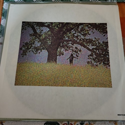 LONNIE MACK: The Hills of Indiana ELEKTRA 12" LP 33 RPM ELS-74102 - Bild 4 von 8