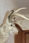 Bild 6 von 8