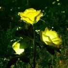 Bild 62 von 143