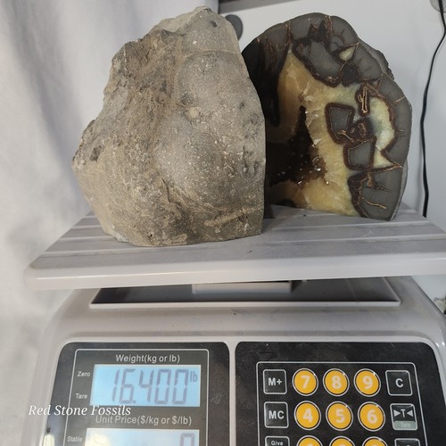 Septarian Bookends - Picture 10 of 10