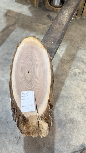Black Walnut Cookie Slab #2373, Live Edge Slab, unvollendet, kostenloser Versand - Video 1 von 1